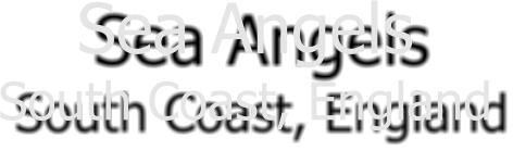 Sea Angels South Coast, England