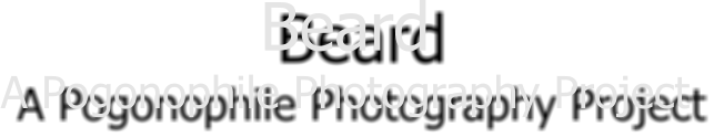 Beard A Pogonophile Photography Project