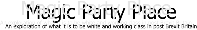 Magic Party Place An exploration of what it is to be white and working class in post Brexit Britain