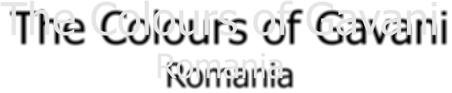 The Colours of Gavani Romania