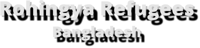 Rohingya Refugees Bangladesh