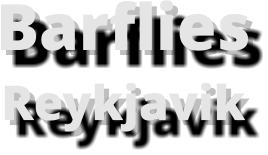Barflies Reykjavik