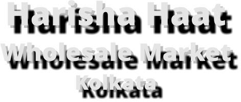 Harisha Haat Wholesale Market Kolkata