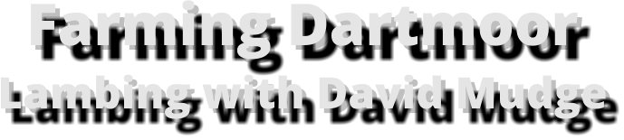 Farming DartmoorLambing with David Mudge