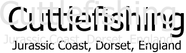 Cuttlefishing Jurassic Coast, Dorset, England