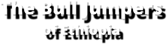 The Bull Jumpers of Ethiopia