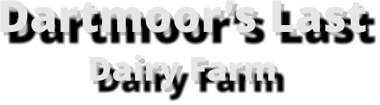 Dartmoor’s LastDairy Farm