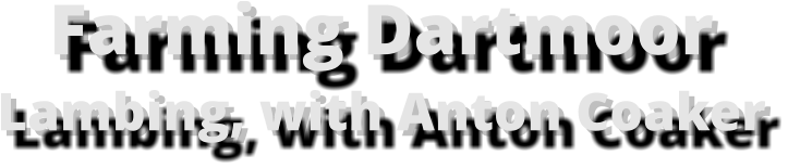 Farming Dartmoor Lambing, with Anton Coaker