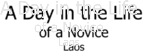 A Day in the Life  of a Novice Laos