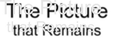The Picture  that Remains