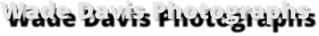 Wade Davis Photographs