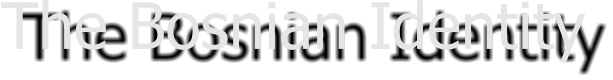 The Bosnian Identity