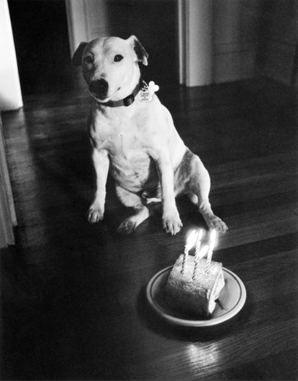 Bob Soltys photographer