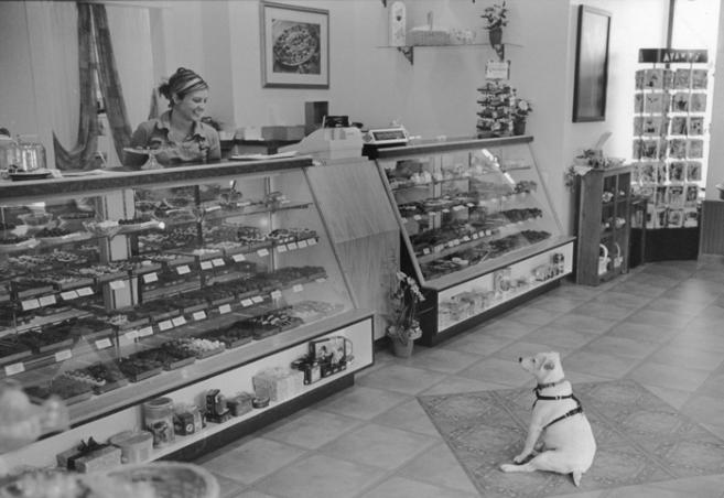 Photograph by Bob Soltys