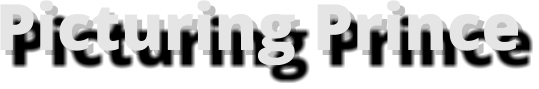 Picturing Prince