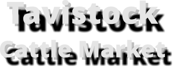 Tavistock  Cattle Market