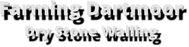Farming Dartmoor Dry Stone Walling