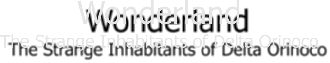 Wonderland The Strange Inhabitants of Delta Orinoco