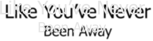 Like You�ve Never Been Away