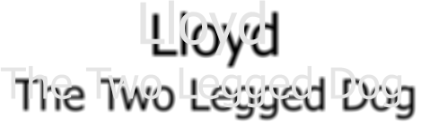 Lloyd The Two Legged Dog