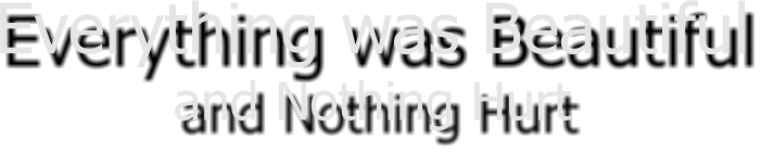 Everything was Beautiful and Nothing Hurt